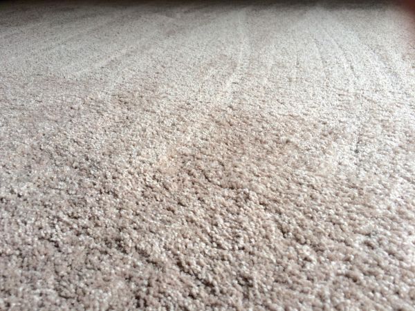 Plush Carpet Installation in Spanish Fork
