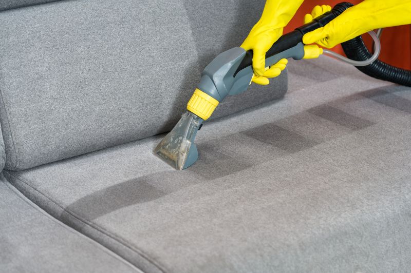 Experienced Carpet Cleaners